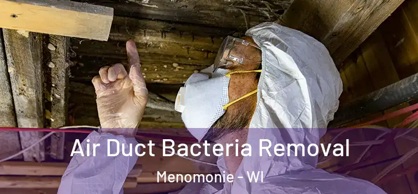  Air Duct Bacteria Removal Menomonie - WI