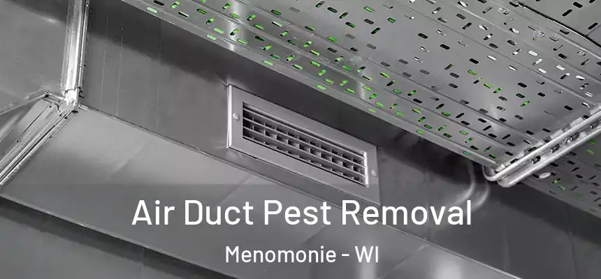 Air Duct Pest Removal Menomonie - WI