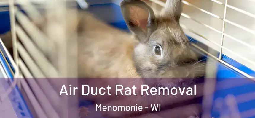  Air Duct Rat Removal Menomonie - WI