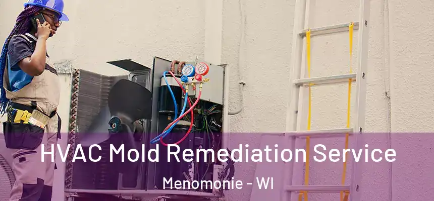  HVAC Mold Remediation Service Menomonie - WI
