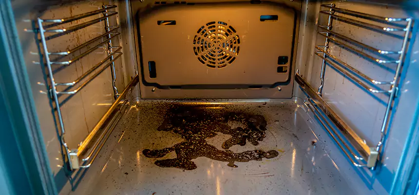 Our Dryer Vent Mold Cleaning Services in Menomonie, WI