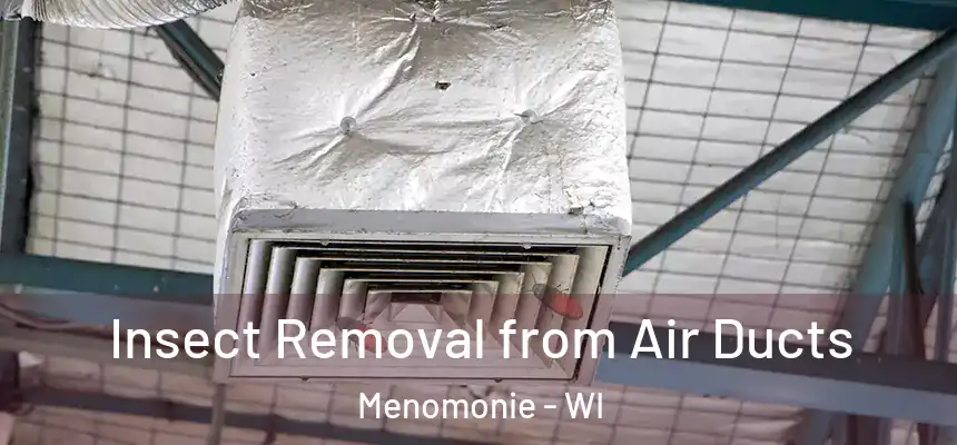  Insect Removal from Air Ducts Menomonie - WI