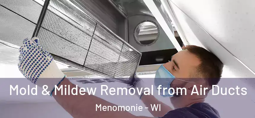  Mold & Mildew Removal from Air Ducts Menomonie - WI