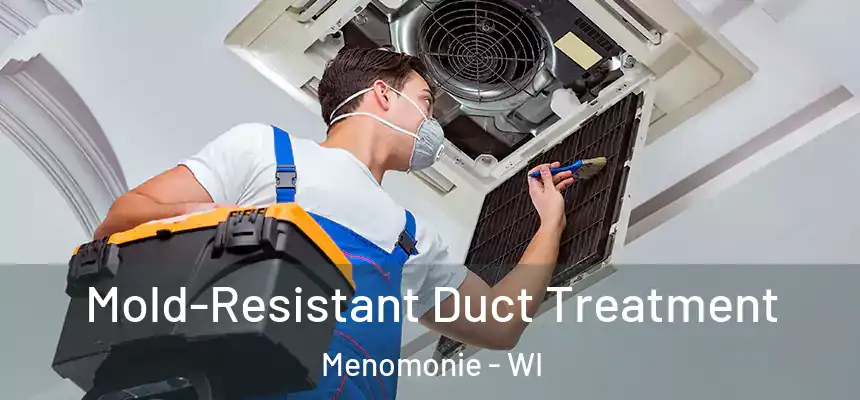  Mold-Resistant Duct Treatment Menomonie - WI