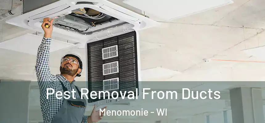  Pest Removal From Ducts Menomonie - WI