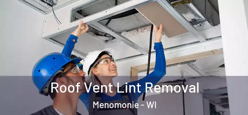  Roof Vent Lint Removal Menomonie - WI