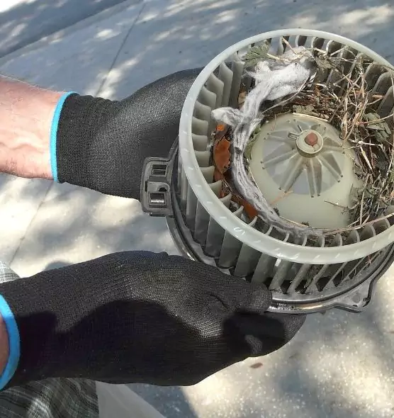 About Air Duct Rat Removal in Menomonie, WI