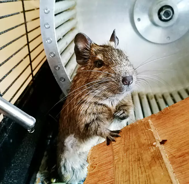 Why Homeowners & Businesses Trust Us Menomonie, WI